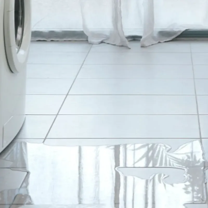 Appliance Leak Cleanup in Rochester, IN