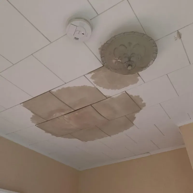 Ceiling Water Damage Repair in Rochester, IN
