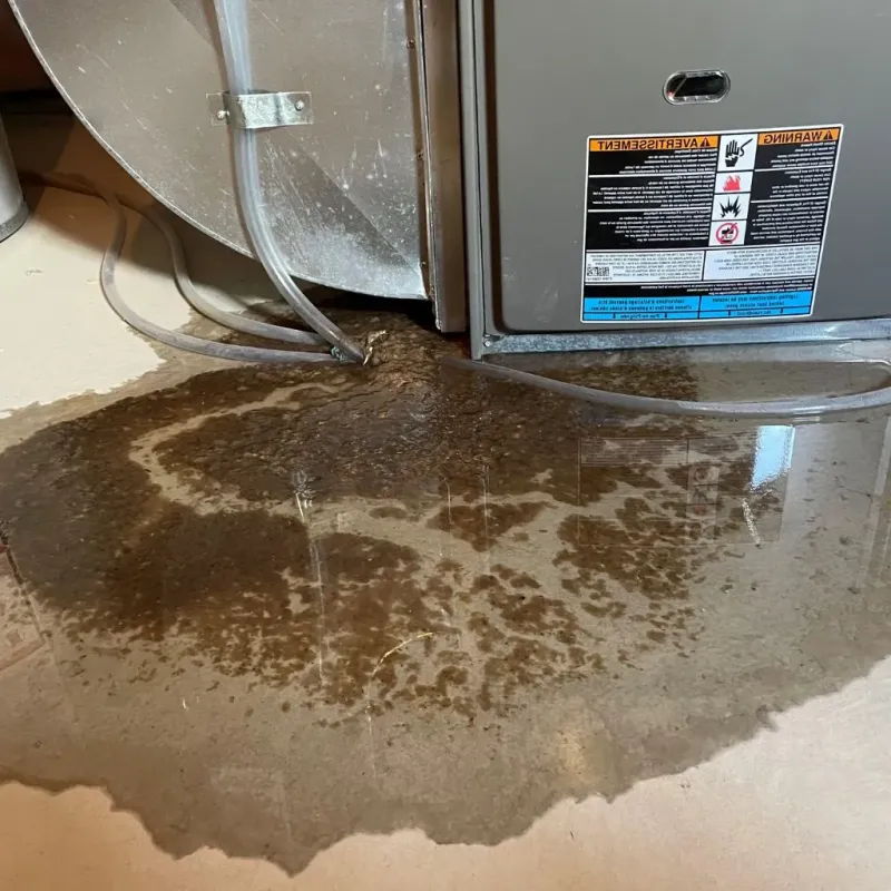 Pipe Burst and Leak Restoration in Rochester, IN
